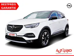 Weiß Gebraucht 2019 Opel Grandland X Business SUV | 21.950 € (Etwas zu teuer)