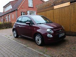 Violet Gebraucht 2020 Fiat 500 Pop Kleinwagen | 8.999 € (Fairer Preis)