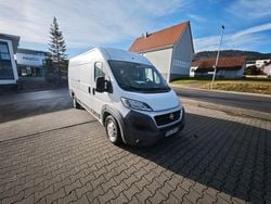 Weiß Gebraucht 2015 Fiat Ducato Van | 15.500 € (Guter Preis)