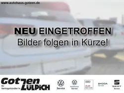 Grau Gebraucht 2024 VW T-Roc Life SUV | 24.790 € (Fairer Preis)