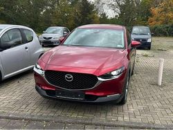 Soul red crystal Gebraucht 2019 Mazda CX-30 Selection SUV | 20.400 € (Fairer Preis)