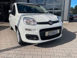Weiß Neu 2025 Fiat Panda Kleinwagen | 12.590 € (Superpreis)