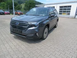 Grau Neu 2025 Subaru Forester Active SUV | 40.890 € (Fairer Preis)
