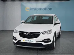 Weiß Gebraucht 2021 Opel Grandland X SUV | 21.749 € (Etwas zu teuer)