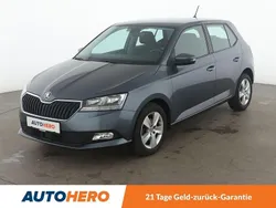 Grau Gebraucht 2020 Skoda Fabia Style Kleinwagen | 14.680 € (Fairer Preis)