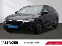 Blackmagicperleffekt Gebraucht 2023 Skoda Octavia Ambition Kombi | 25.880 € (Fairer Preis)