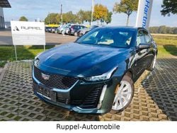 Grün Gebraucht 2020 Cadillac CTS Limousine | 29.990 €
