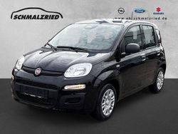 Schwarz Neu 2025 Fiat Panda Kleinwagen | 14.970 € (Fairer Preis)