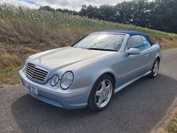 Blau Gebraucht 2001 Mercedes CLK320 Elegance Cabrio | 13.500 €