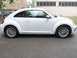 VW Beetle