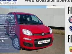 Rot Neu 2025 Fiat Panda Kleinwagen | 14.990 €