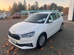 Weiß Neu 2025 Skoda Fabia Selection Limousine | 23.950 € (Fairer Preis)