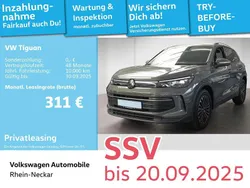Cipressinogrün metallic Gebraucht 2024 VW Tiguan Life SUV | 31.999 € (Fairer Preis)
