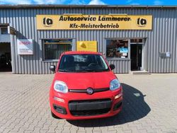 Rot Gebraucht 2019 Fiat Panda Easy Kleinwagen | 8.390 €