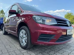 Rot Gebraucht 2017 VW Caddy Trendline Van / Kleinbus | 15.699 € (Etwas zu teuer)