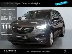 Rot (elm lackierung bright red) Gebraucht 2020 Opel Grandland X SUV | 24.945 € (Teuer)