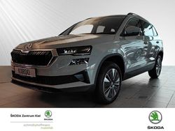 Grau Gebraucht 2024 Skoda Karoq Selection SUV | 42.469 €