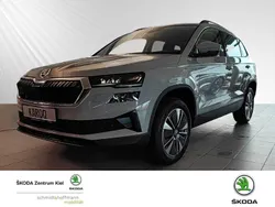 Grau Neu 2024 Skoda Karoq Selection SUV | 42.469 €