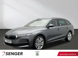 Grau Neu 2024 Skoda Octavia Selection Kombi | 99.999 €