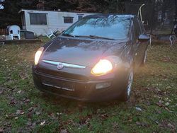 Blau Gebraucht 2011 Fiat Punto Kleinwagen | 1.650 € (Guter Preis)