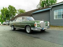 Grün Gebraucht 1965 Mercedes 250 SE | 15.000 €