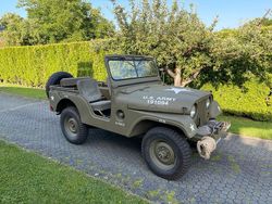 Grün Gebraucht 1952 Jeep Willys SUV | 27.000 €