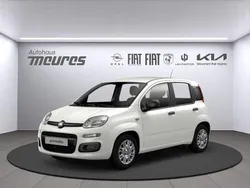 Weiss Neu 2025 Fiat Panda Kleinwagen | 13.450 € (Guter Preis)