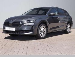 Grau Gebraucht 2024 Skoda Octavia Selection Kombi | 30.380 € (Fairer Preis)