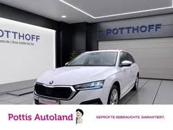Weiß Gebraucht 2023 Skoda Octavia Style Kombi | 24.477 € (Guter Preis)