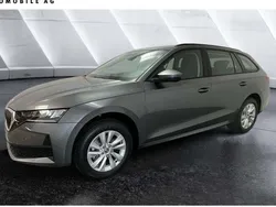 Grau Neu 2025 Skoda Octavia Essence Limousine | 29.990 € (Guter Preis)