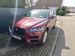 Rot Gebraucht 2017 Jaguar F-Pace Prestige SUV | 18.000 € (Guter Preis)