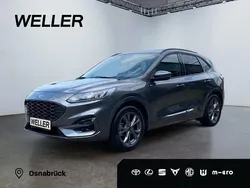 Grau Gebraucht 2024 Ford Kuga ST-Line SUV | 24.490 € (Superpreis)
