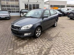 Grau Gebraucht 2012 Skoda Fabia GreenLine Kleinwagen | 6.990 € (Etwas zu teuer)