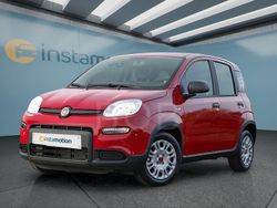 Rot Gebraucht 2024 Fiat Panda Kleinwagen | 13.949 € (Fairer Preis)