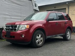 Rot Gebraucht 2011 Ford Escape SUV | 6.590 €