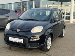 Schwarz Neu 2024 Fiat Panda Kleinwagen | 14.590 € (Fairer Preis)