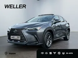 Grau Gebraucht 2024 Lexus NX350h Executive Line SUV | 48.180 € (Superpreis)