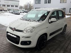 Weiß Gebraucht 2015 Fiat Panda Lounge Kleinwagen | 5.900 €
