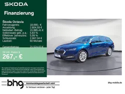 Blau Gebraucht 2020 Skoda Octavia First Edition Kombi | 18.690 € (Fairer Preis)