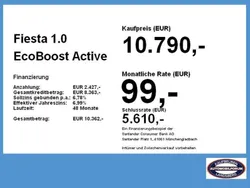 Frostweiß Gebraucht 2020 Ford Fiesta Active Kleinwagen | 10.790 € (Guter Preis)