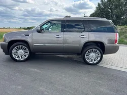 Beige Gebraucht 2011 Cadillac Escalade SUV | 22.500 € (Guter Preis)