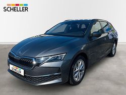 Grau Gebraucht 2024 Skoda Octavia Selection Kombi | 31.300 € (Fairer Preis)