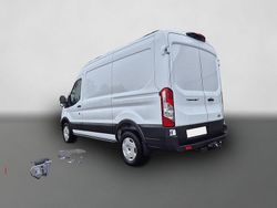Frozen white Neu 2025 Ford Transit Trend | 42.790 € (Guter Preis)
