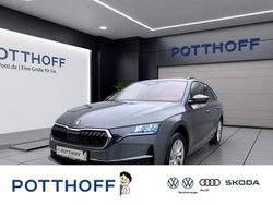 Grau Neu 2025 Skoda Octavia Selection Kombi | 38.940 € (Fairer Preis)