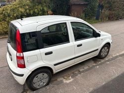 Weiß Gebraucht 2007 Fiat Panda Kleinwagen | 2.150 € (Fairer Preis)