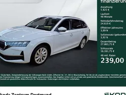 Weiß Gebraucht 2024 Skoda Octavia Selection Kombi | 30.444 € (Fairer Preis)