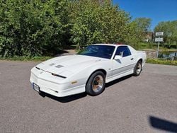 Weiß Gebraucht 1988 Pontiac Firebird | 23.000 €