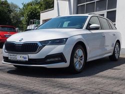 Bila candy/candyweiss Gebraucht 2023 Skoda Octavia Ambition Kombi | 18.990 € (Fairer Preis)