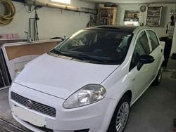 Weiß Gebraucht 2009 Fiat Punto Kleinwagen | 2.300 € (Fairer Preis)