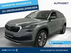 Graphit grau Gebraucht 2022 Skoda Kodiaq Tour SUV | 31.090 € (Guter Preis)